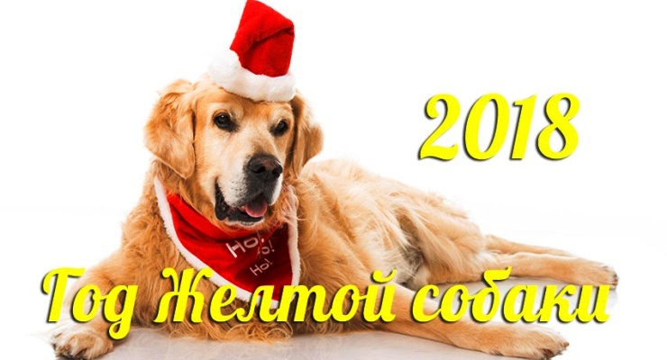 С Новым 2018 годом собаки!