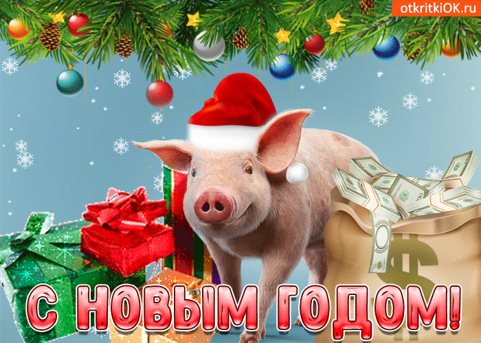 Год желтой земляной свиньи. С Новым годом!